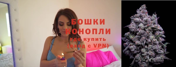 ГАЛЛЮЦИНОГЕННЫЕ ГРИБЫ Елабуга