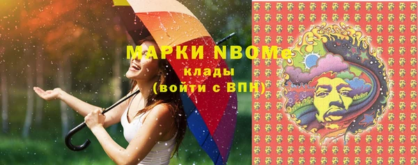 ГАЛЛЮЦИНОГЕННЫЕ ГРИБЫ Елабуга