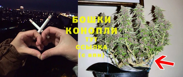 ГАЛЛЮЦИНОГЕННЫЕ ГРИБЫ Елабуга