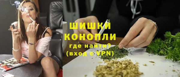 ГАЛЛЮЦИНОГЕННЫЕ ГРИБЫ Елабуга