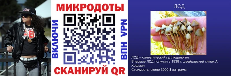 Псилоцибиновые грибы Magic Shrooms  Карабаново 